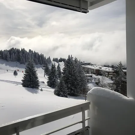 Apartment Lauziere - 30- Appt Lumineux 4-6 Pers Chamrousse
