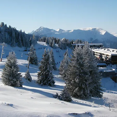 Apartment Lauziere - 30- Appt Lumineux 4-6 Pers Chamrousse